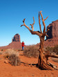 The Monument Valley in Arizona