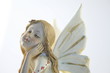 Happy Fairy Happy Fairy