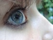 Oeil