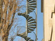Arbre,, escalier, mur. Arbre,, escalier, mur.