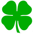 trevo da irlanda