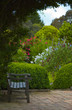 Old wooden bench in the shadow of tree in the lush flower garden