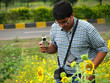 Sunflower Photographer