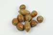Pecan and Hazel Nuts Pecan and Hazel Nuts