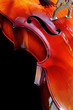 Cello in close-up Cello in close-up