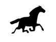 cavalo