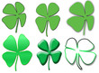 A collection of different green four leaf clovers