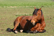 Repos au soleil