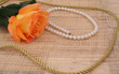 Rose on Textured Background With Pearls and Gold Rope
