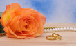 Rose With Wedding Rings and Pearls on Blue Background