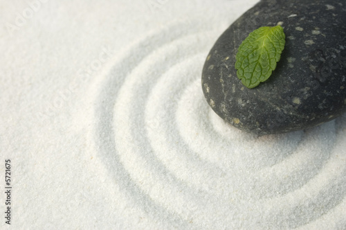 Black stone and green leaf on raked white sand of a zen garden