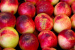 Tuscan Peaches