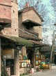 piante sui tetti