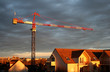 Grue au soleil du matin