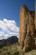 riglos