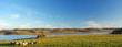 landscape 4