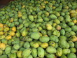Mango Früchte,  Amazonas