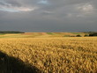 Plaine Picarde
