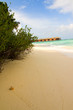Maldivian sand beach and water bungalows