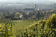 vignoble de marlenheim en alsace vignoble de marlenheim en alsace