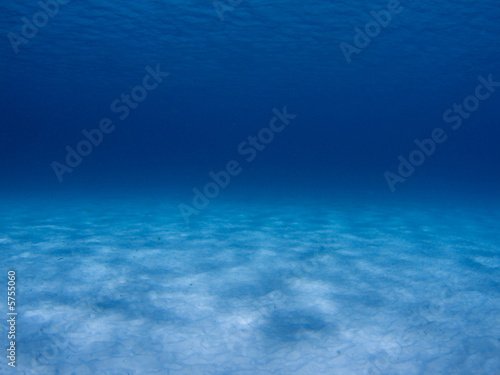 Caribbean Ocean Underwater