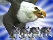 Adler und Wölfe