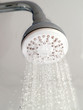 Water pouring from a metallic shower head Water pouring from a metallic shower head