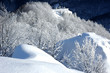 White winter landscape