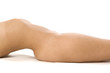 Nude female torso