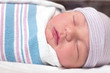 Newborn baby boy resting in hospital Newborn baby boy resting in hospital