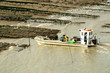 Barge d'ostréiculteur sur la Seudre, Charente Maritime France