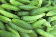 cucumbers