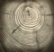 close-up wooden cut texture with burning frame