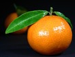 Clementinen