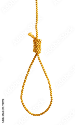 Photo: string string