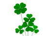 clover four leafs, luck and fortune