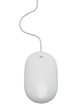 The mouse with a wheel on a white background The mouse with a wheel on a white background