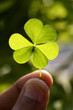 Clover leaf