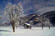 Winter landscape with old barn