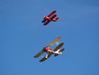Waco und Baby Great Lakes