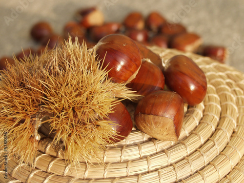 Photo: castagne castagne