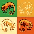 dessin animal 