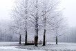 winter landscape