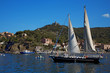 roussillon : collioure, voilier danns le port
