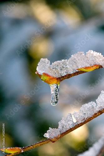 Photo: New Beginnings New Beginnings