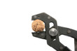 Cracking a walnut