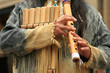 Indian Panpipes Indian Panpipes