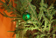 Green ball on new year tree