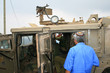 Armée de tsahal en Israel