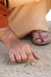 Jesus stooped down and wrote with his finger on the ground